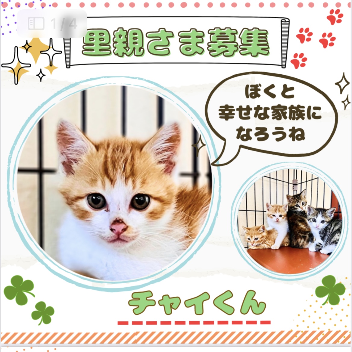 B3883D82-1A6A-4FBC-A99D-2BFD36E71D30