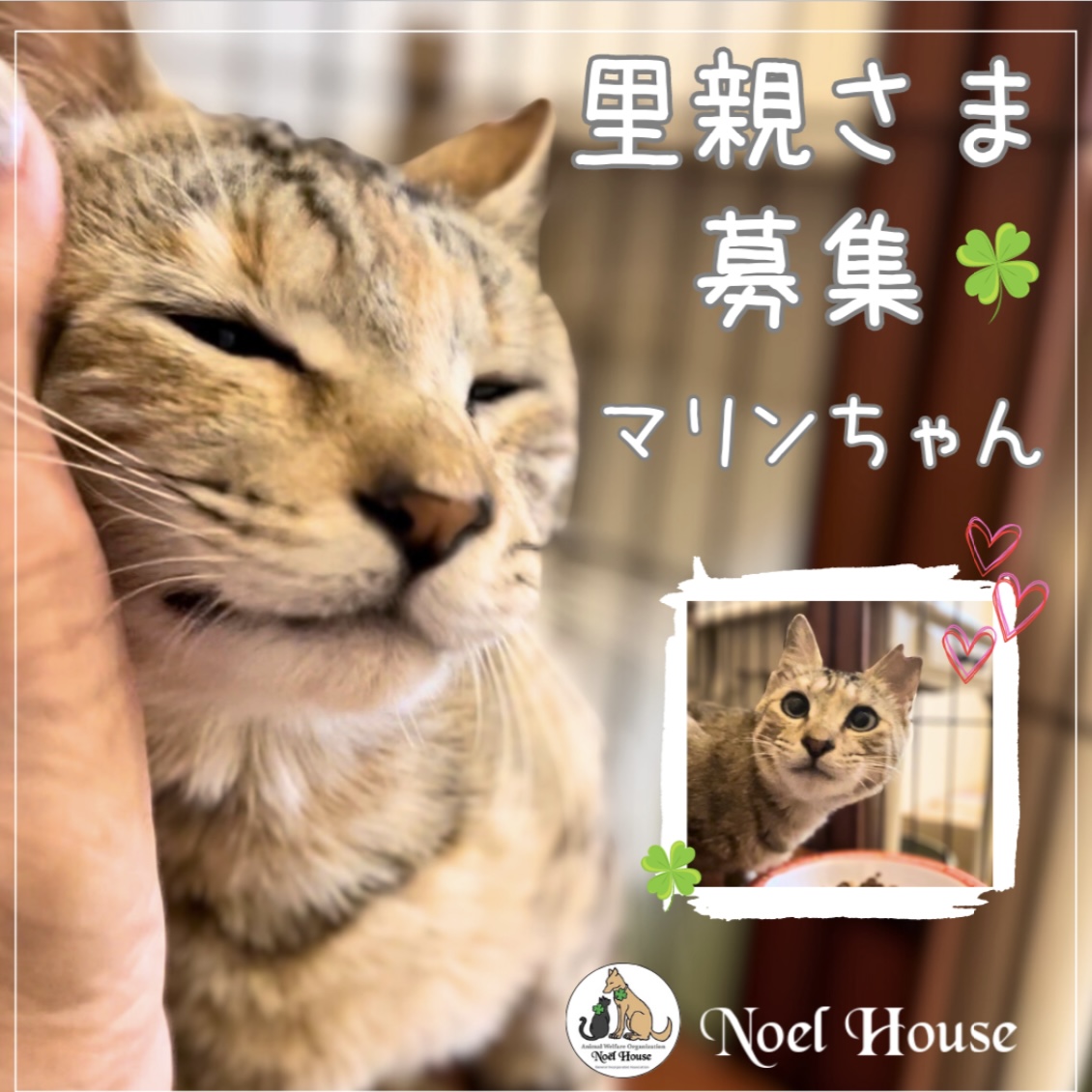 BF240F38-641B-4AE5-BDB1-59265F10C45D