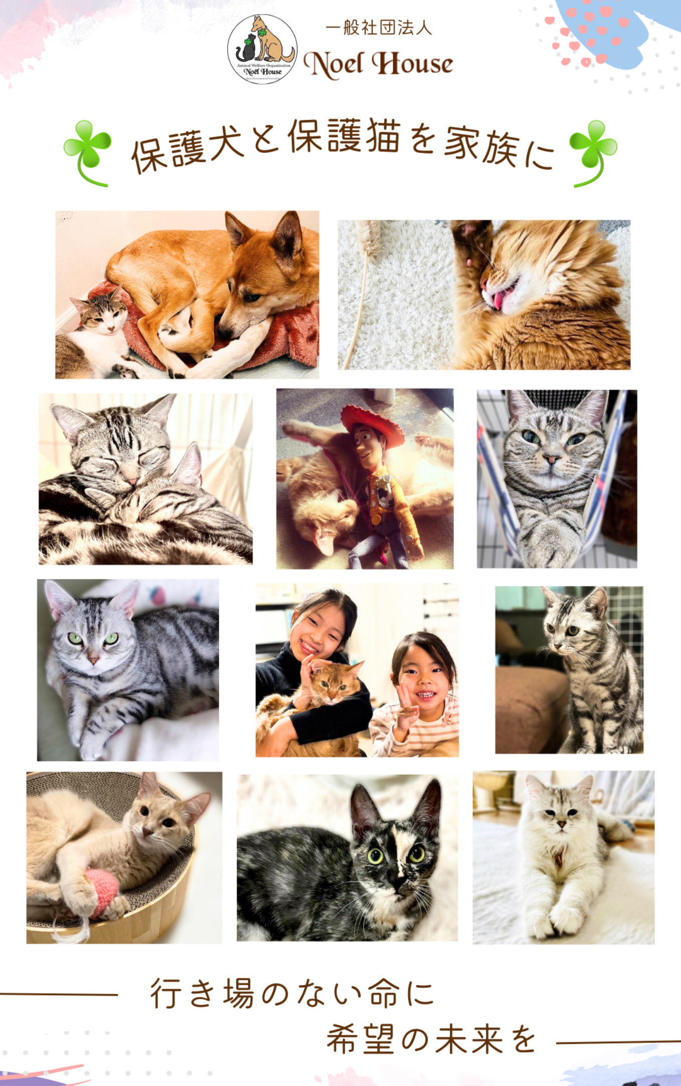 保護犬猫の里親募集「ノエル ハウス」愛知県岡崎市