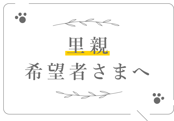 里親希望者さまへ